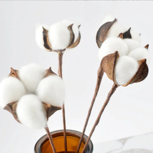 ��֧�޻��ɻ����^�޻��廨�� diy�Ҿ��b��Ĕz�����}�Q���������