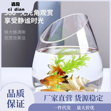 玻璃水培植物花瓶透明斜口鱼缸斜口绿萝水培花盆水培器皿水族