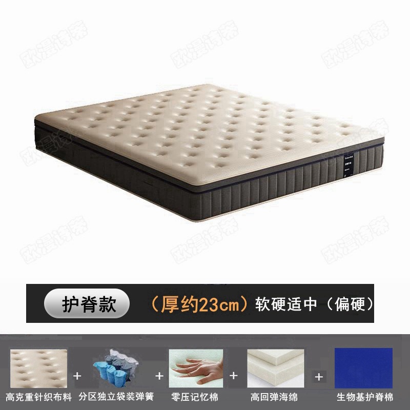 척추보호모델(약 24cm)