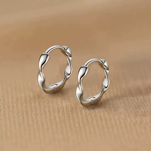Korean Style New Mobius Earrings Wavy Light Luxury Plain Hoop Earrings Earrings High-End Stylish
