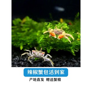 ��������з���w����΢���^��ˮ�Y���^�pз����ˮ�����坍���׻�