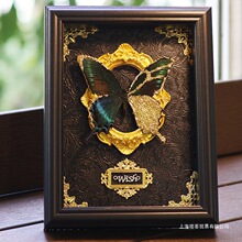 真蝴蝶标本相框摆件金箔装饰画情侣感七夕教师节生日礼物成品