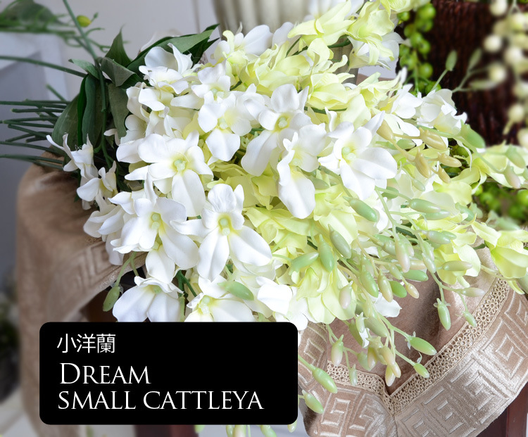 TB2evoGXVXXXXbTXXXXXXXXXXXX-18