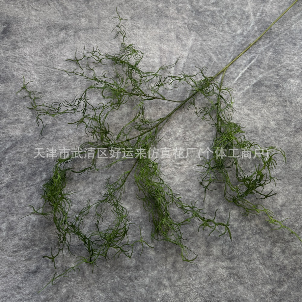 노인은 짙은 녹색이어야 한다