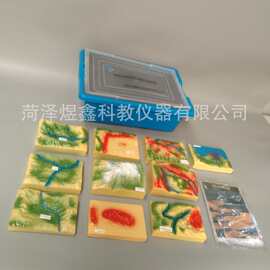 新课标 十种 地形地貌模型 科学实验 地形地貌模型与图片资源箱