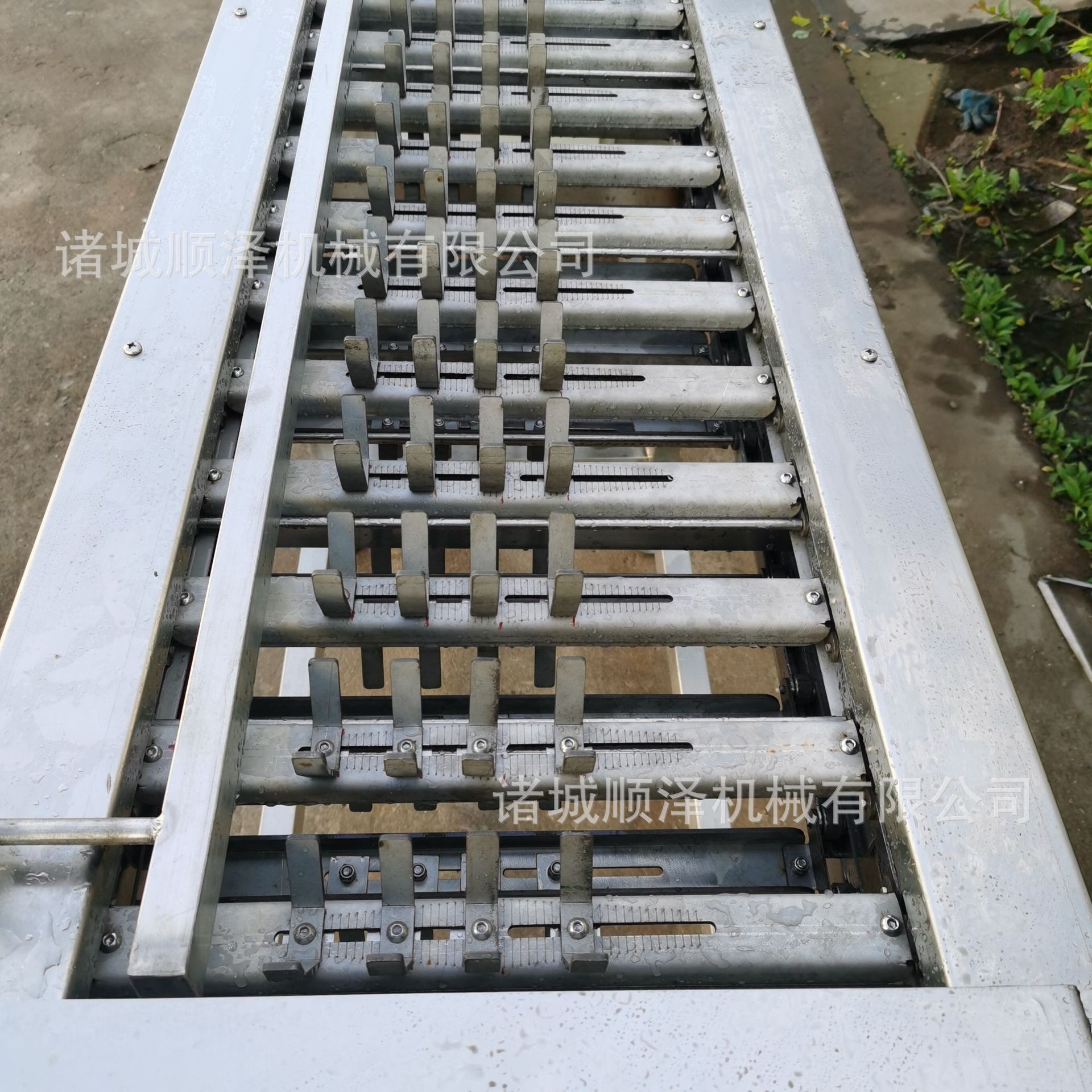 冷冻玉米切段机 速冻玉米分段机 甜玉米切割机 全不锈钢制作