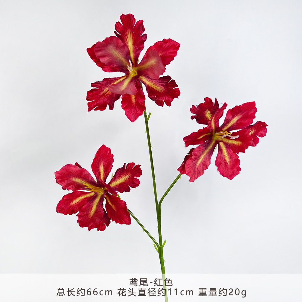 Ht-iris-red