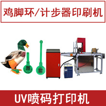 鸡脚环打印机 家禽脚标印字印logo溯源二维码 全自动UV打印小机器