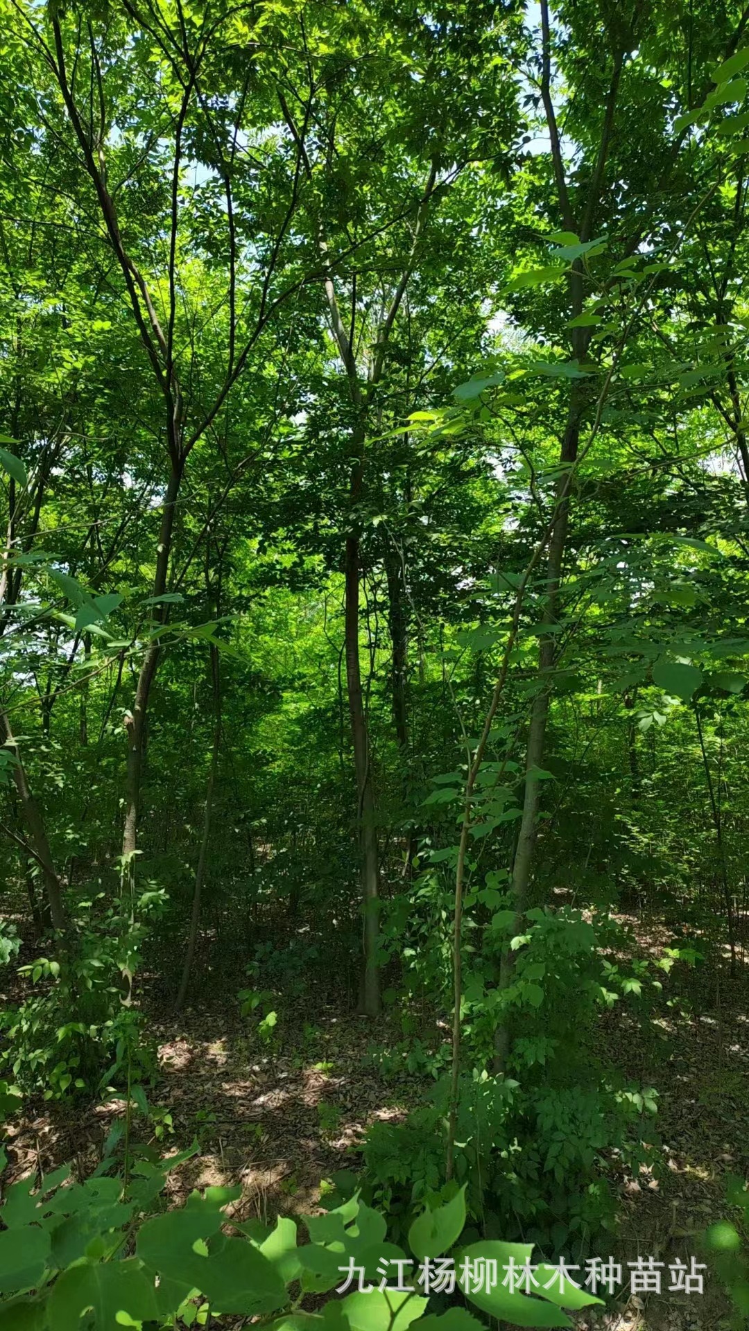 微信图片_20231009155750