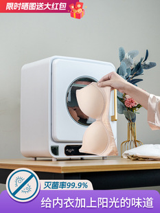 Japanese Intimates Sterilizer Dryer Small Ultraviolet Sterilizer Sterilizer Intimates Disinfection Box