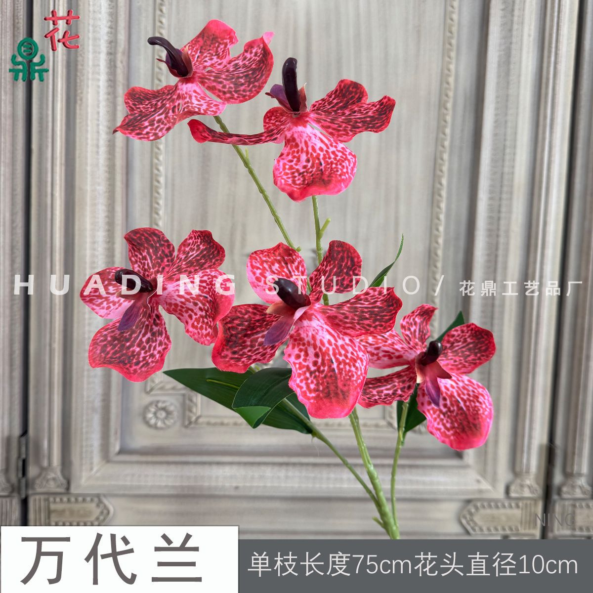 반다 NING 스팟 레드