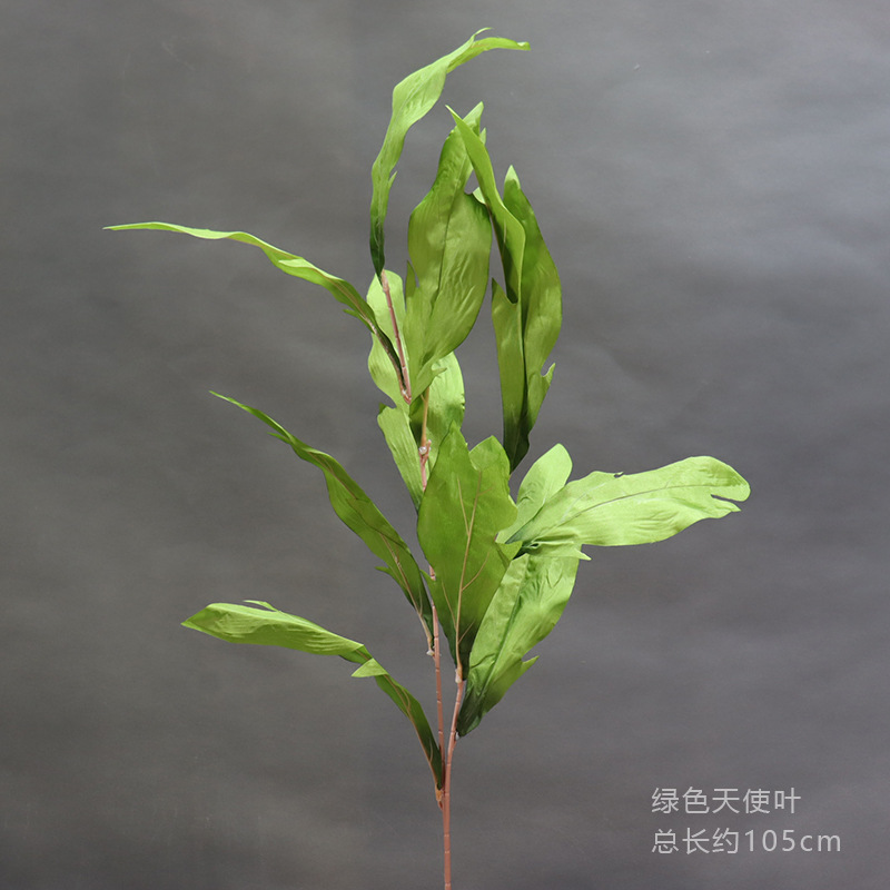 Hoja de Ángel verde