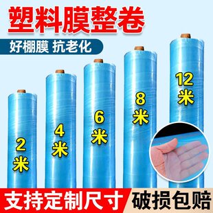 ������������Ĥ��Ĥ��Ĥ�o��Ĥ͸���Ӻ��߲˱������ϲ�