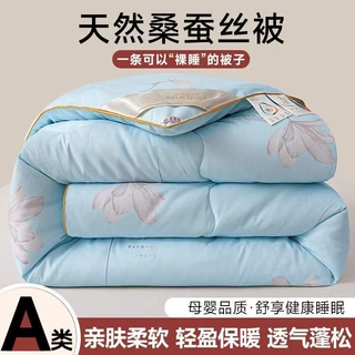 天然蚕丝被桐乡桑蚕丝加厚保暖冬季亲肤款学生宿舍四季被芯实用