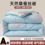 桐乡加厚冬季保暖蚕丝被