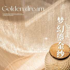 法式梦幻流光纱窗帘纱帘透光不透人窗纱客厅阳台飘窗半遮光高级感