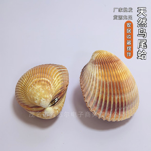 ��Ȼ����ؐ���Bβ��ؐ����ؐ��Hؐ����Ů�ф����@ϲ�Y���ɺ��