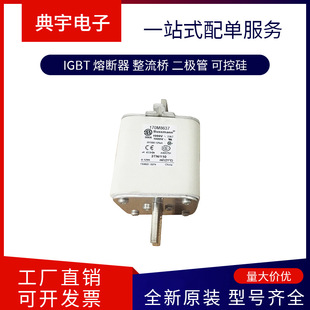 Fuse 170m8604 8605 8606 8607 8608 8609 8610 Complete Models