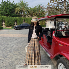 Xzichic易梦玲同款百褶格子半身裙2025春季新款低腰A字长裙子女