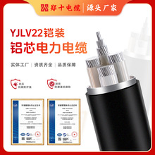 定制YJLV22鋁芯線纜工程地埋線3/4芯鎧裝國標低壓電力電纜