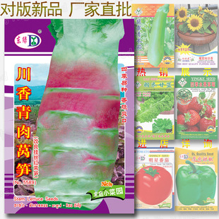 ���������n�S�N�� �s3000�� �ļ��߲˷N�����l���ˬ���n���n����