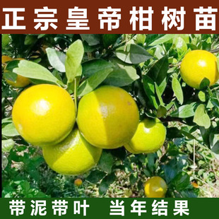 ���ڻʵ۸̘���V���������������Ƥ��۹���ؕ���Ϸ�ˮ��������