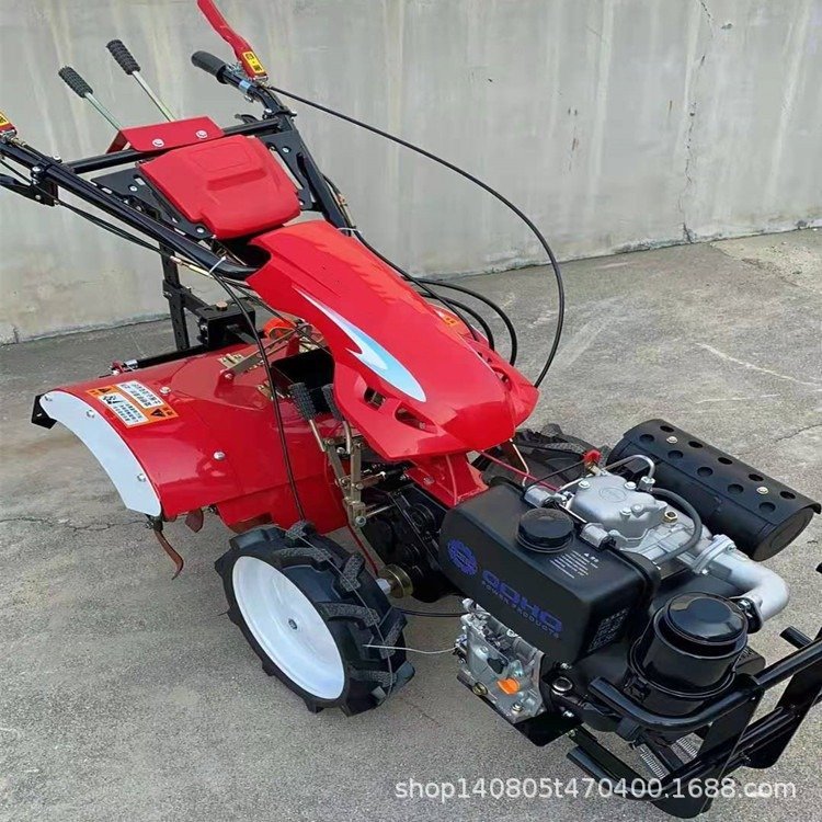 u=202271572,955668063&fm=1