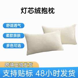 爆款灯芯绒抱枕家居通用客厅靠垫卧室床头装饰沙发定制高级感