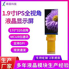 1.9inch TFT LCD ディスプレイ IPS 30PIN LCD スクリーン検出器メーター 170*320 ピクセル 9307 チップ