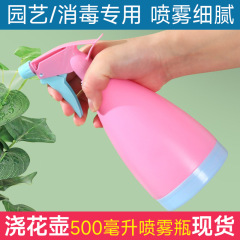 スポット園芸花スプレーポットキャンディー色の小さなスプレーポット多肉植物スプレーポット手押し式スプレーボトル花