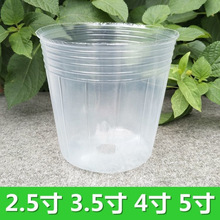 �����m�I�B��ʯ���m�����÷Nֲ����͸����o�����籭��ֲ�@�I�B��