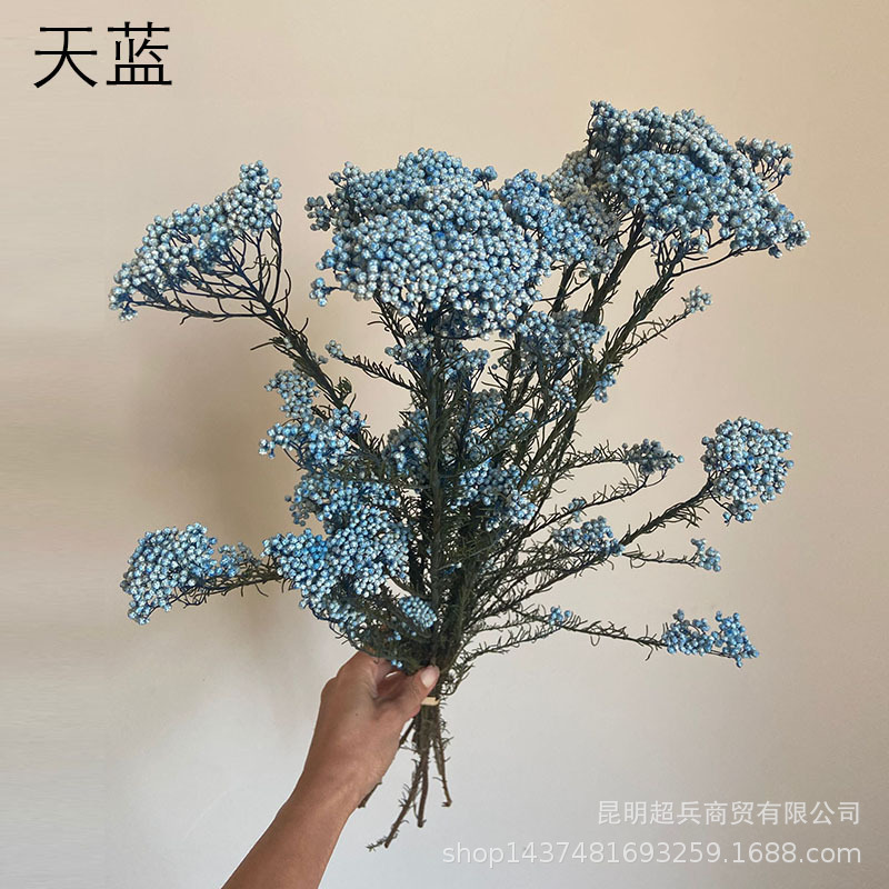 Bleu ciel
