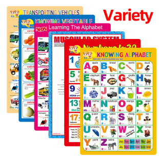 Customized Export Stereo Concave and Convex 3D Cross-Border Silent Wall Chart Amazon Paper English Wall Chart Factory Direct Supply Wholesale