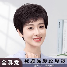 �ٰlŮ�̰l���˰l�z�̾��l���|��lȫ�^��ʽ������Ȼ�y���C�ٰl��