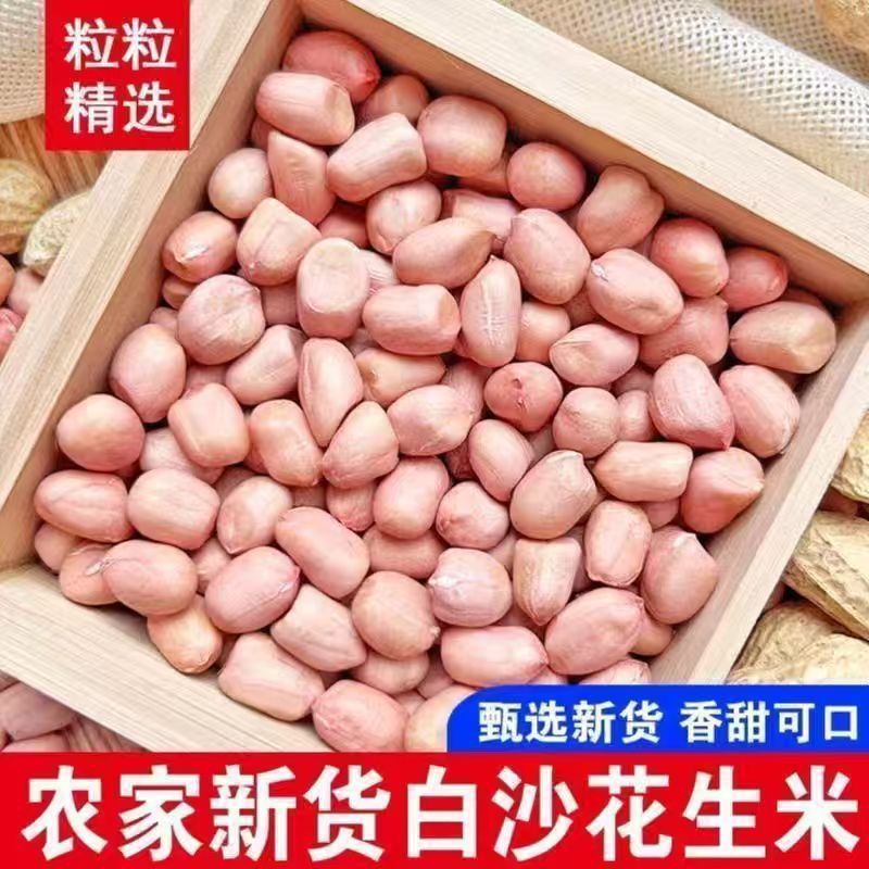 红皮花生新货批发5斤花生米仁批发粒红生花生仁小四粒红米红花生|undefined