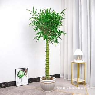 ����������_�h����˾Gֲ������J���̨�҃��k����ֲ��͏d�Gֲ