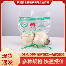 新挖鲜百合500g 两头皇兰州百合兰州新鲜百合食用甜百合真空包装