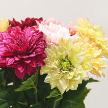 �p���ָб���t���������Ҿ����P�[����c���Ļ�Y���b��羳