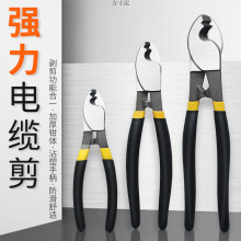 |늾늹|􄃾QྀQ6810߹I