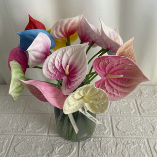 �Ĕz���߆�֧pu�t�� �͏d�bٻ�ˇ�g�廨 �߷����ָ�ܛ�z�t��