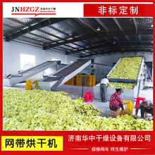大型多层网带式辣椒烘干机皇菊地黄辣椒果蔬药材烘干机网链输送机