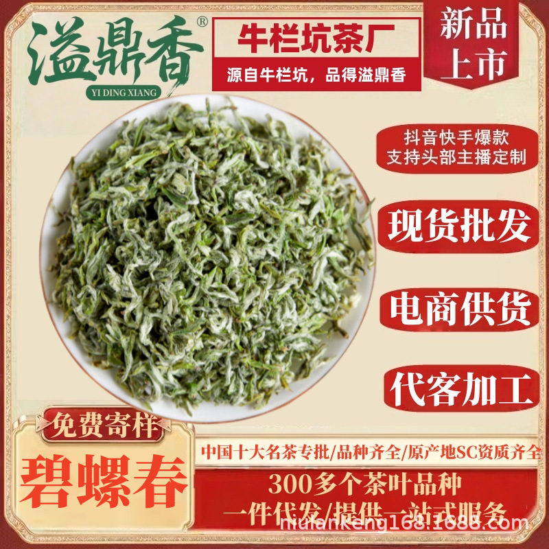 Yidingxiang Biluochun Green Tea New Tea 2026 Wholesale Bulk High Mountain Cloud Tea Strong Fragrance Floral and Fruity Aroma Jiangsu