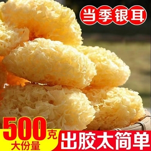 ����y������Ŵ�y���ɰ�ľ��ѩ�����r�o��g���ɏ�Ӹ�