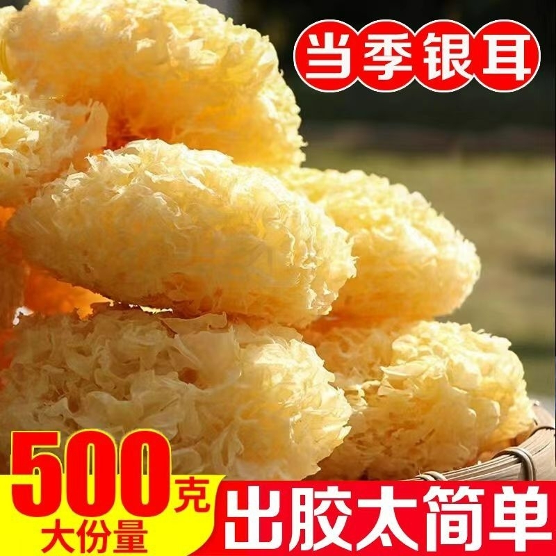 大朵银耳古田糯银耳干白木耳雪耳新鲜无硫g丑耳莲子羹|undefined