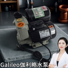 热水自吸泵耐高温100度 自吸式离心水泵 自动吸水泵 主品