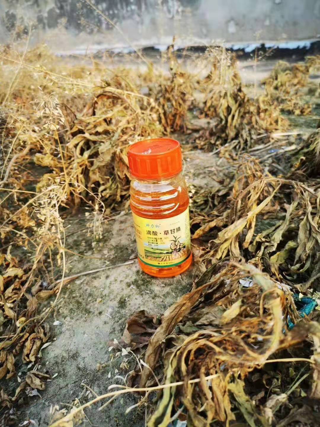 ΢ͼƬ_20210126171529