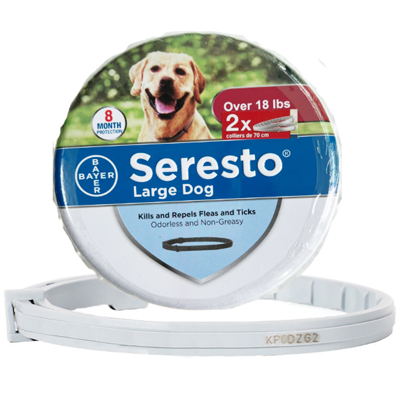 New American version of big dog double circle