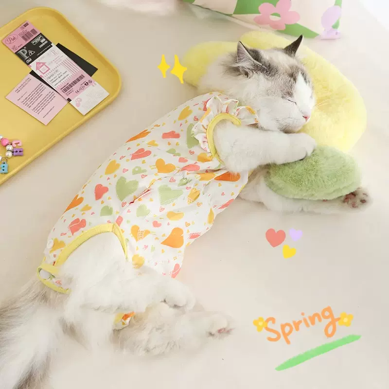 猫咪衣服防掉毛薄款夏季小猫断奶母猫护肚全包宠物幼猫夏天绝育服