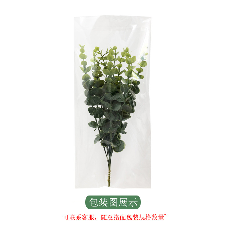 20728991707_1493019570