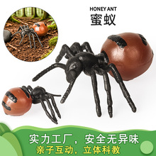 �羳���挍�Ą���ģ�����xģ���۹�ρΛρ����֩���������@���